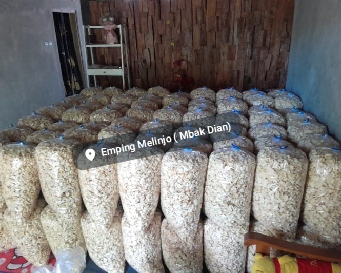 ea3b0f6c-291a-4180-ae24-7d8a7292e3d5